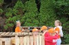 IMG_4947